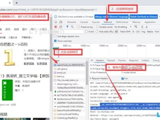 瀏覽器審查提取cookie教程，以頭條搜索為例